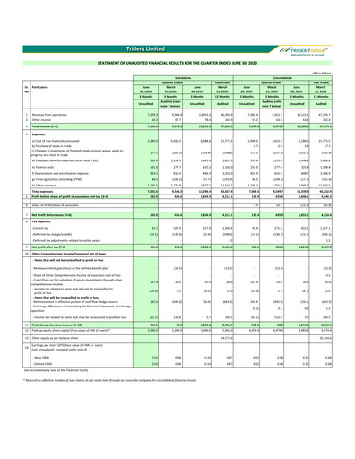 Thumbnail Trident Quarterly Report 2020-q1