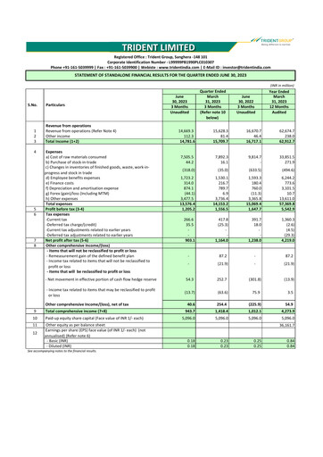 Thumbnail Trident Quarterly Report 2023-q1