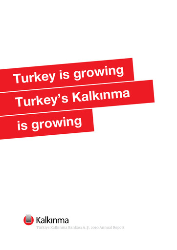 Vorschaubild Türkiye Kalkınma Jahresbericht 2010