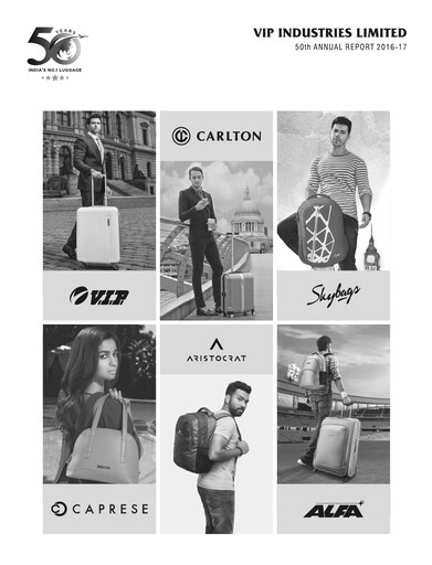 Miniature VIP Industries
 Rapport annuel 2016-2017