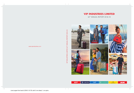 Miniature VIP Industries
 Rapport annuel 2018-2019
