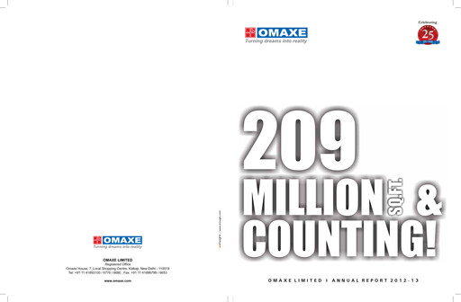 Miniature Omaxe
 Rapport annuel 2012-2013