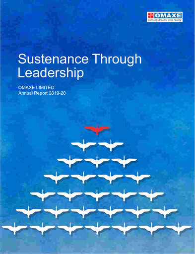 Miniature Omaxe
 Rapport annuel 2019-2020