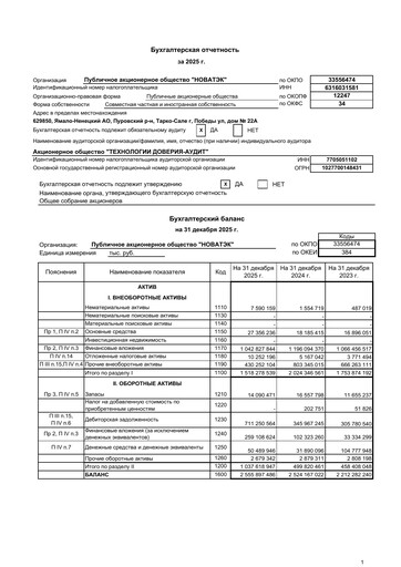 Thumbnail Novatek Financial Statement 2025