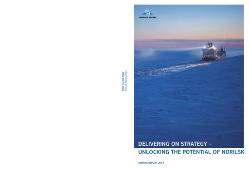 Thumbnail Nornickel Annual Report 2014