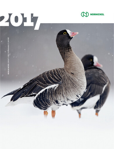 Thumbnail Nornickel Sustainability Report 2017
