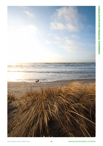 Thumbnail Ørsted ESG Report 2012