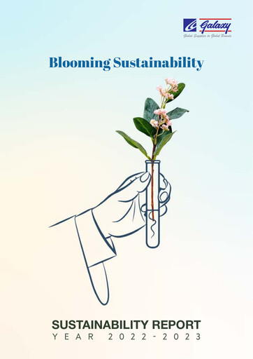 Miniature Galaxy Surfactants
 Rapport de durabilité 2022-2023