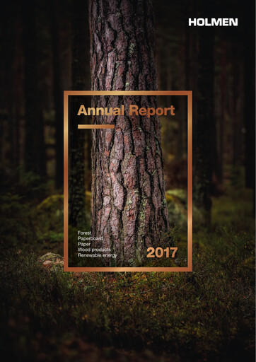 Thumbnail Holmen
 Annual Report 2017