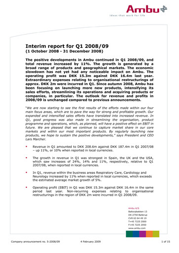 Thumbnail Ambu Quarterly Report 2008-q1