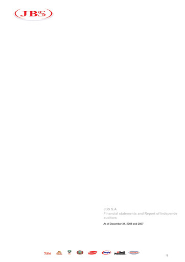 Thumbnail JBS N.V. Financial Statement 2008