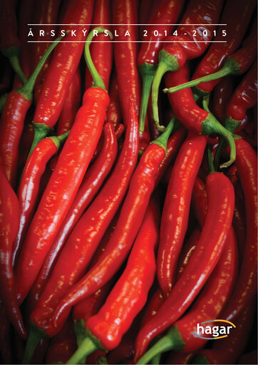 Thumbnail Hagar hf. Annual Report 2014-2015