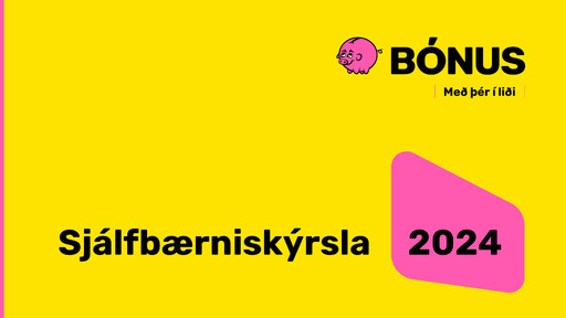 Thumbnail Hagar hf. Sustainability Report 2024