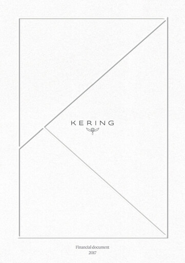 Miniature Kering
 Rapport financier 2017