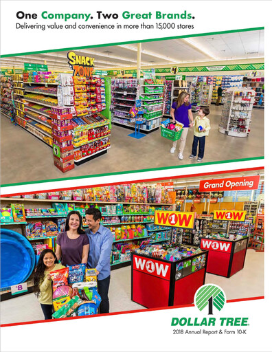 Thumbnail Dollar Tree Annual Report 2018