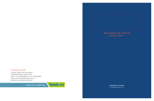Thumbnail Symphony Limited Annual Report 2012-2013
