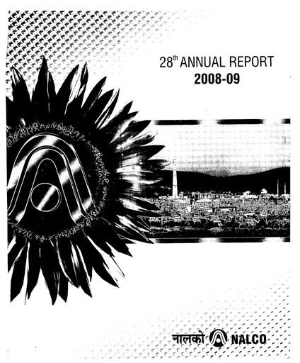 Thumbnail National Aluminum & Alloy Annual Report 2008-2009