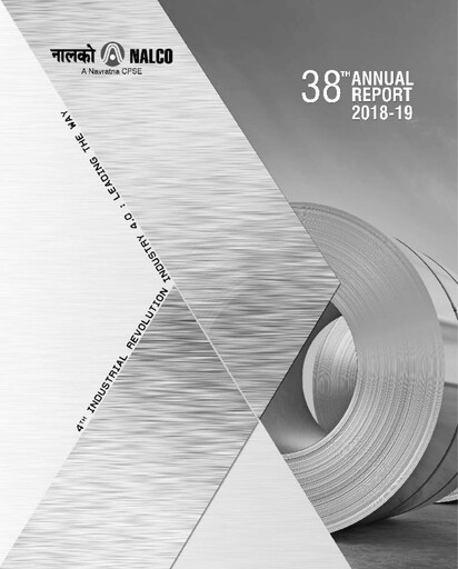 Thumbnail National Aluminum & Alloy Annual Report 2018-2019