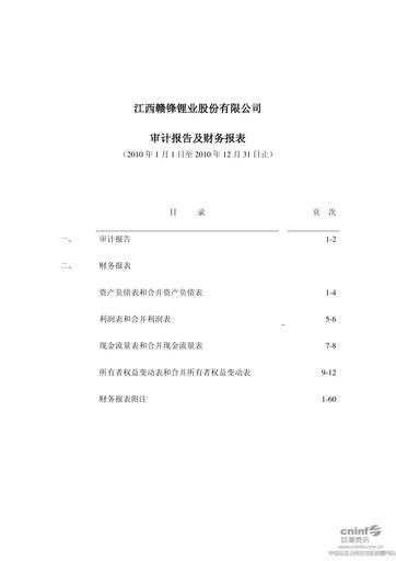Thumbnail Ganfeng Lithium Financial Statement 2010
