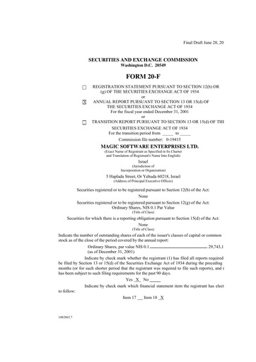 Thumbnail Magic Software Annual Report 2001