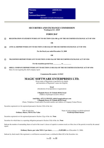 Thumbnail Magic Software Annual Report 2008