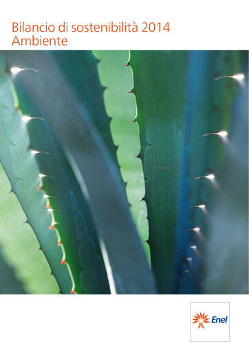 Thumbnail Enel Sustainability Report 2014