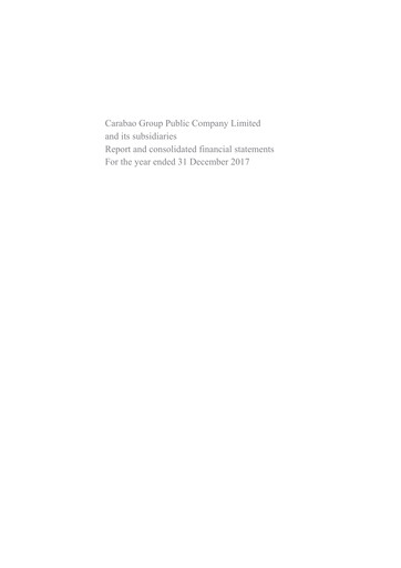 Thumbnail Carabao Group Financial Statement 2017