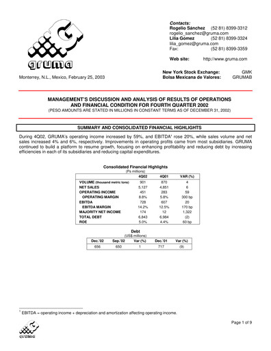 Thumbnail Gruma (Maseca)
 Financial Statement 2002