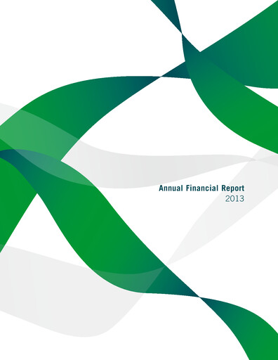 Thumbnail Reply Annual Report 2013