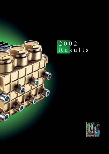 Thumbnail Interpump Group Financial Report 2002