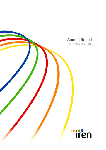 Vorschaubild Iren Jahresbericht 2013
