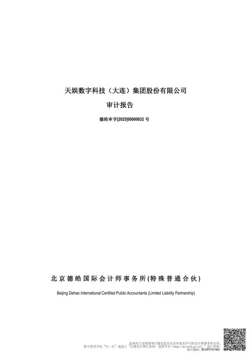 Thumbnail Tianyu Digital Technology (Dalian) Financial Statement 2024