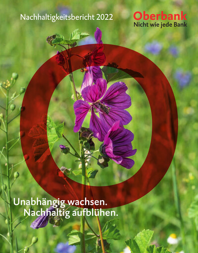 Miniature Oberbank Rapport de durabilité 2022