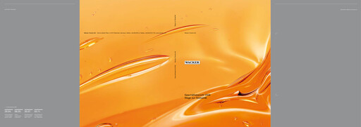 Thumbnail Wacker Chemie
 Annual Report 2008