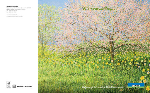 Thumbnail Aksa Energy Annual Report 2015