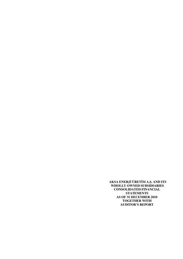 Thumbnail Aksa Energy Financial Statement 2010