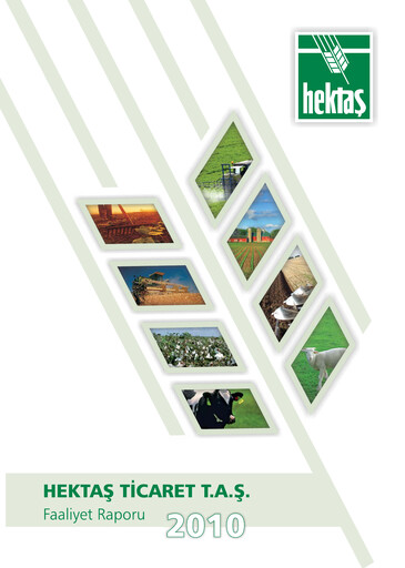 Vorschaubild Hektaş
 Jahresbericht 2010