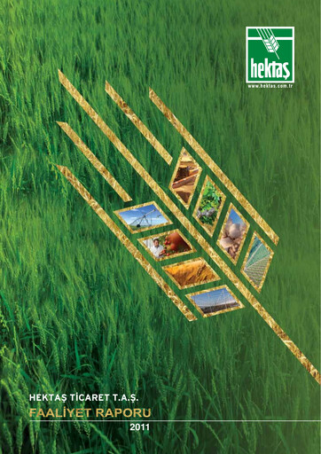 Vorschaubild Hektaş
 Jahresbericht 2011