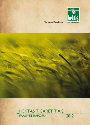 Vorschaubild Hektaş
 Jahresbericht 2012