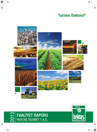 Vorschaubild Hektaş
 Jahresbericht 2013