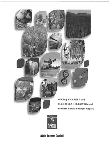 Vorschaubild Hektaş
 Jahresbericht 2017