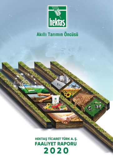 Thumbnail Hektaş
 Annual Report 2020