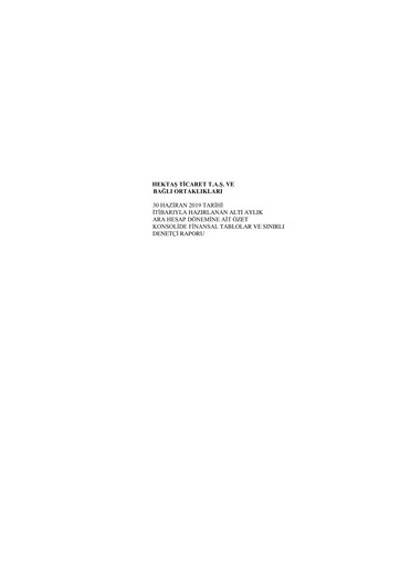 Thumbnail Hektaş
 Financial Statement 2019-h1