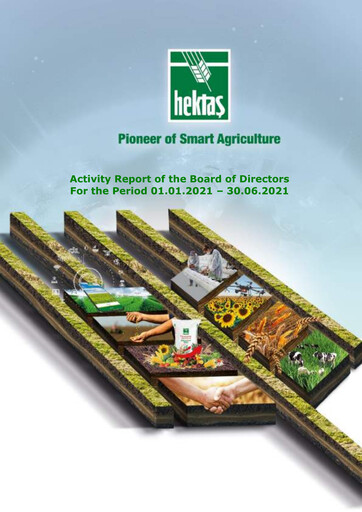 Thumbnail Hektaş
 Half-year Report 2021-h1