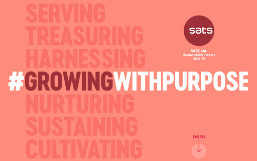 Thumbnail SATS Sustainability Report 2018-2019