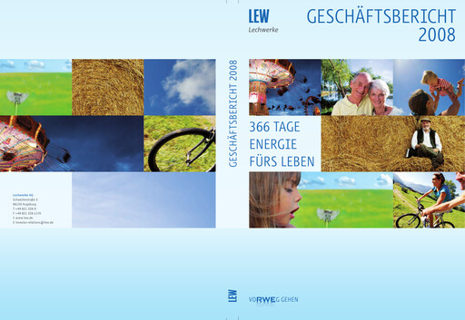 Thumbnail LEW (Lechwerke) Financial Statement 2008