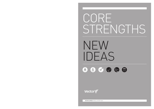 Thumbnail Vector Limited
 Annual Report 2007