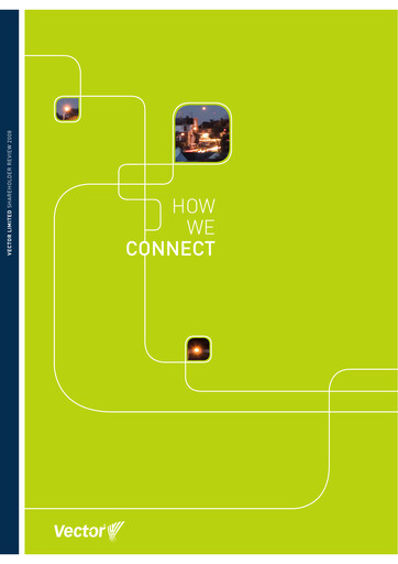 Thumbnail Vector Limited
 Annual Report 2008