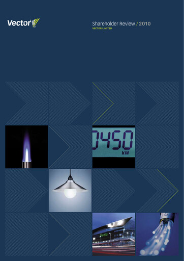 Thumbnail Vector Limited
 Annual Report 2010
