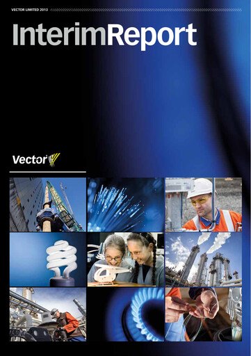 Thumbnail Vector Limited
 Half-year Report 2013-h1